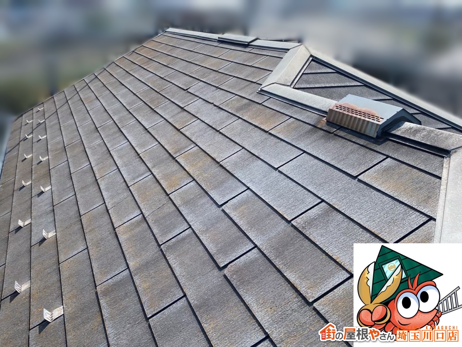 川口市　施工前　点検