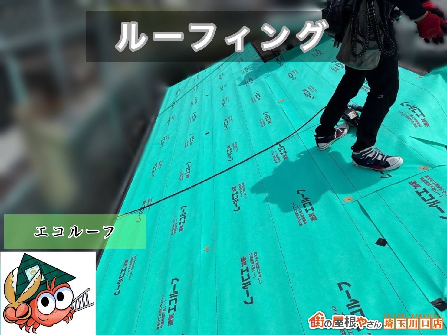 ルーフィング　エコルーフ