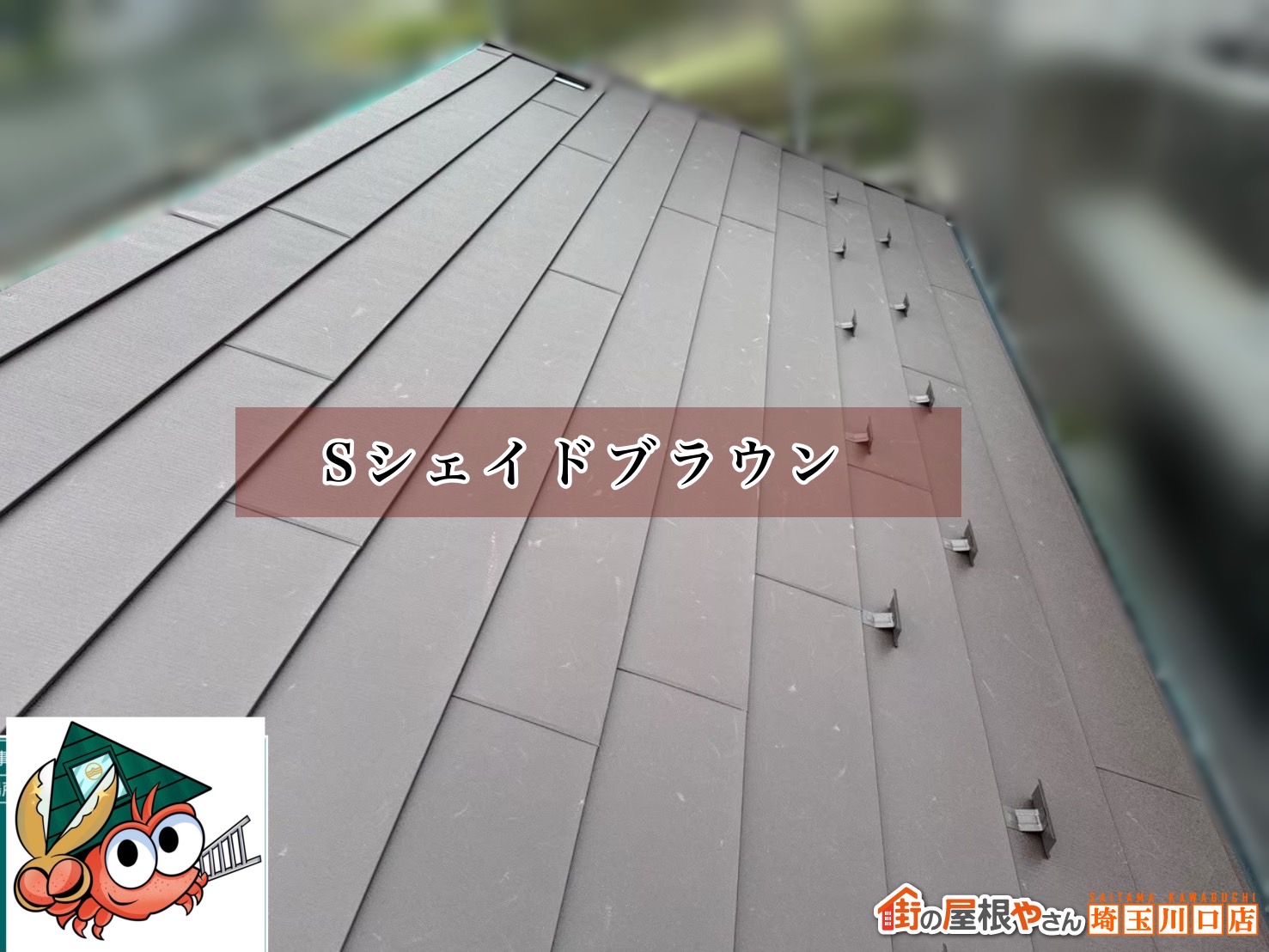 屋根材　Sシェイドブラウン