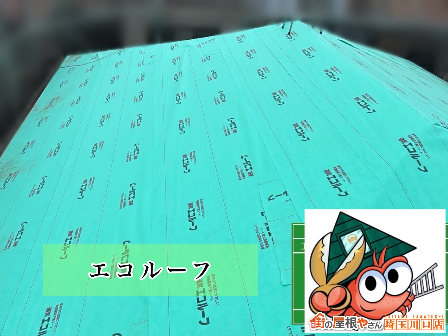 ルーフィング施工後　エコルーフ