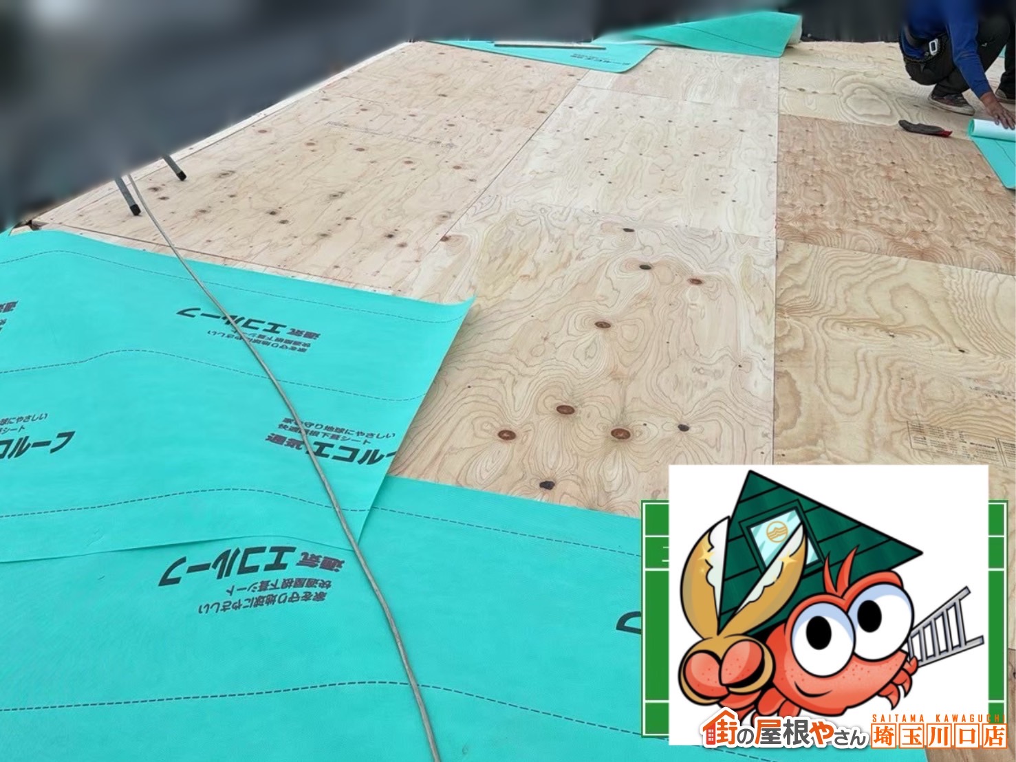 大屋根　ルーフィング施工中