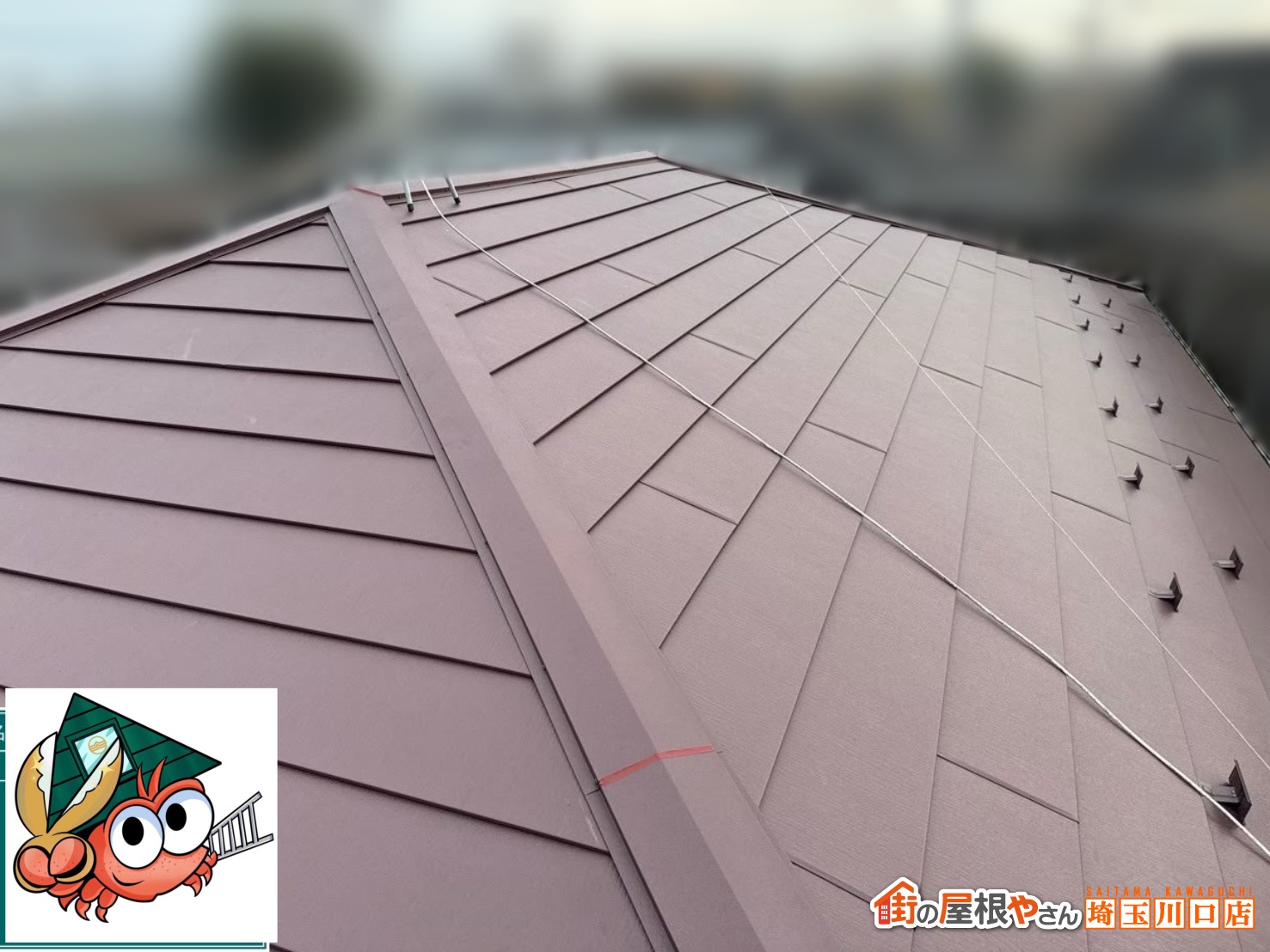 屋根全体　施工後