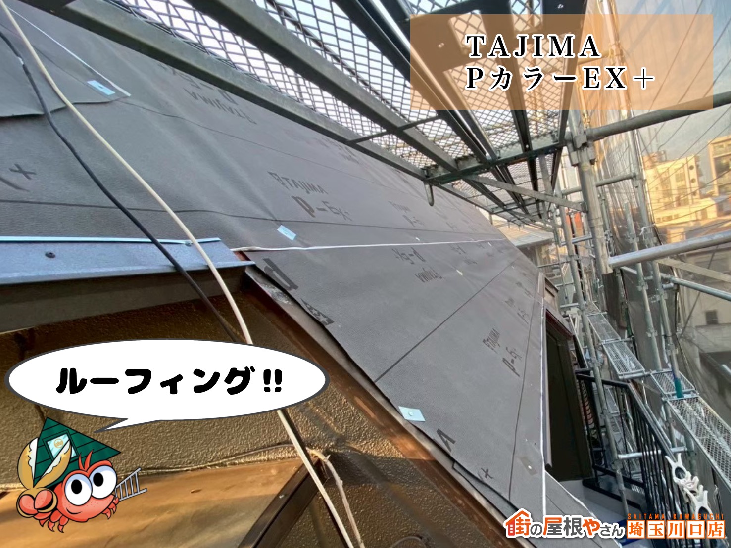 ルーフィング TAJIMA|PカラーEX