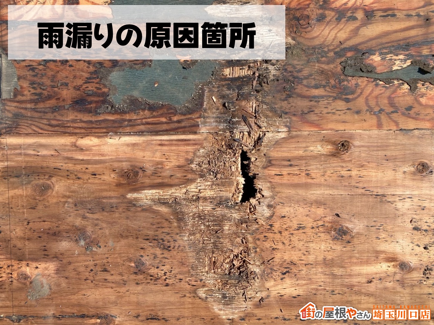 雨漏りの原因箇所を特定