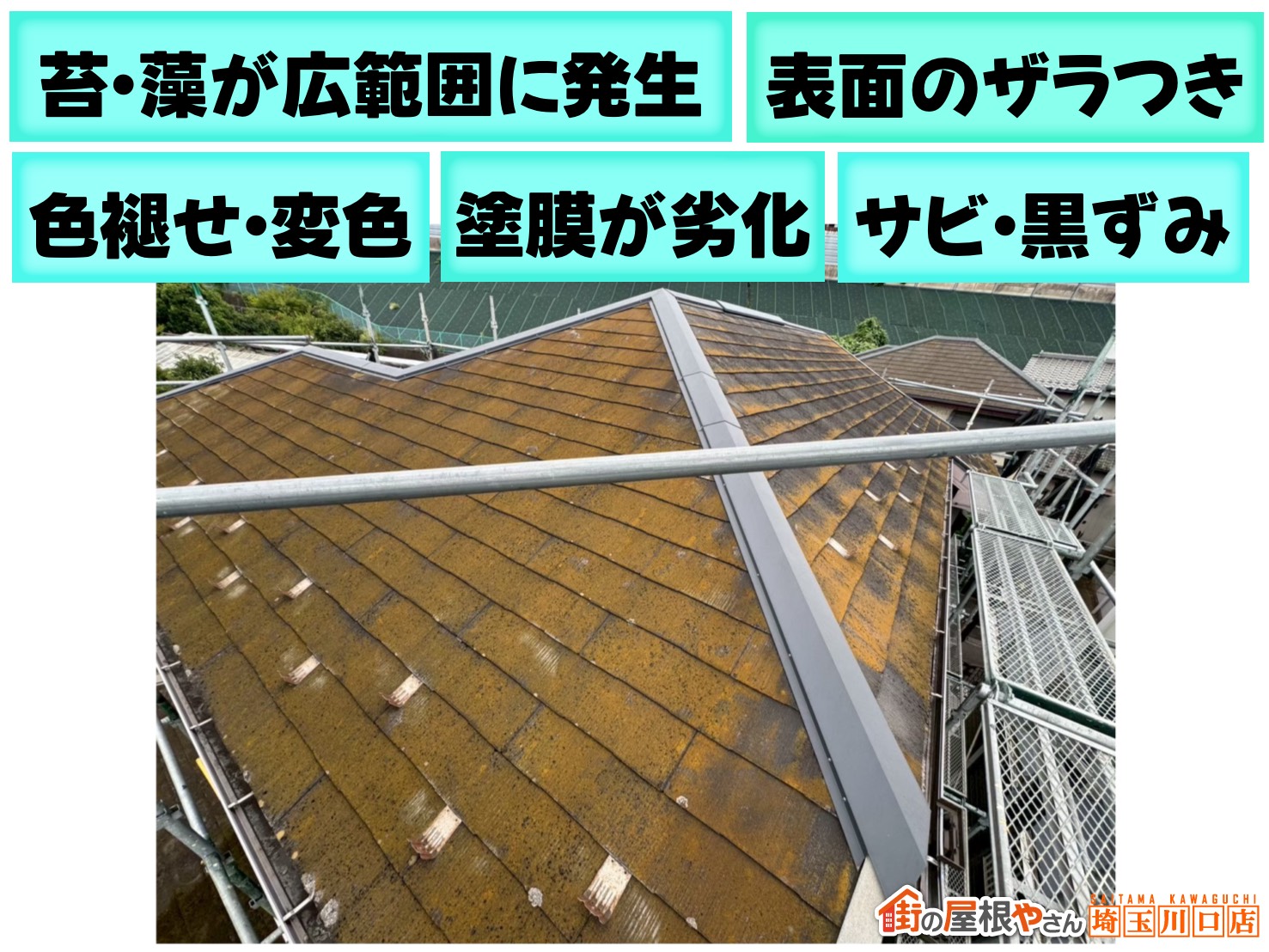苔・藻の広範囲発生と表面のざらつき