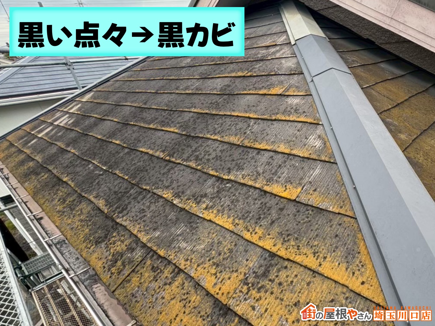 黒い点状汚れ（黒カビ）の発生