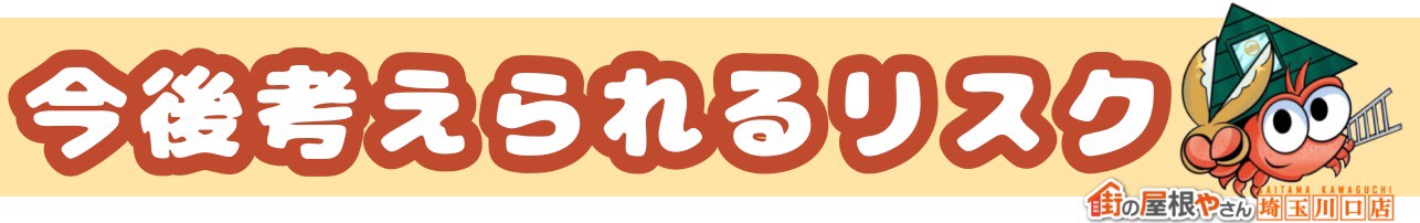 今後考えられるリスク