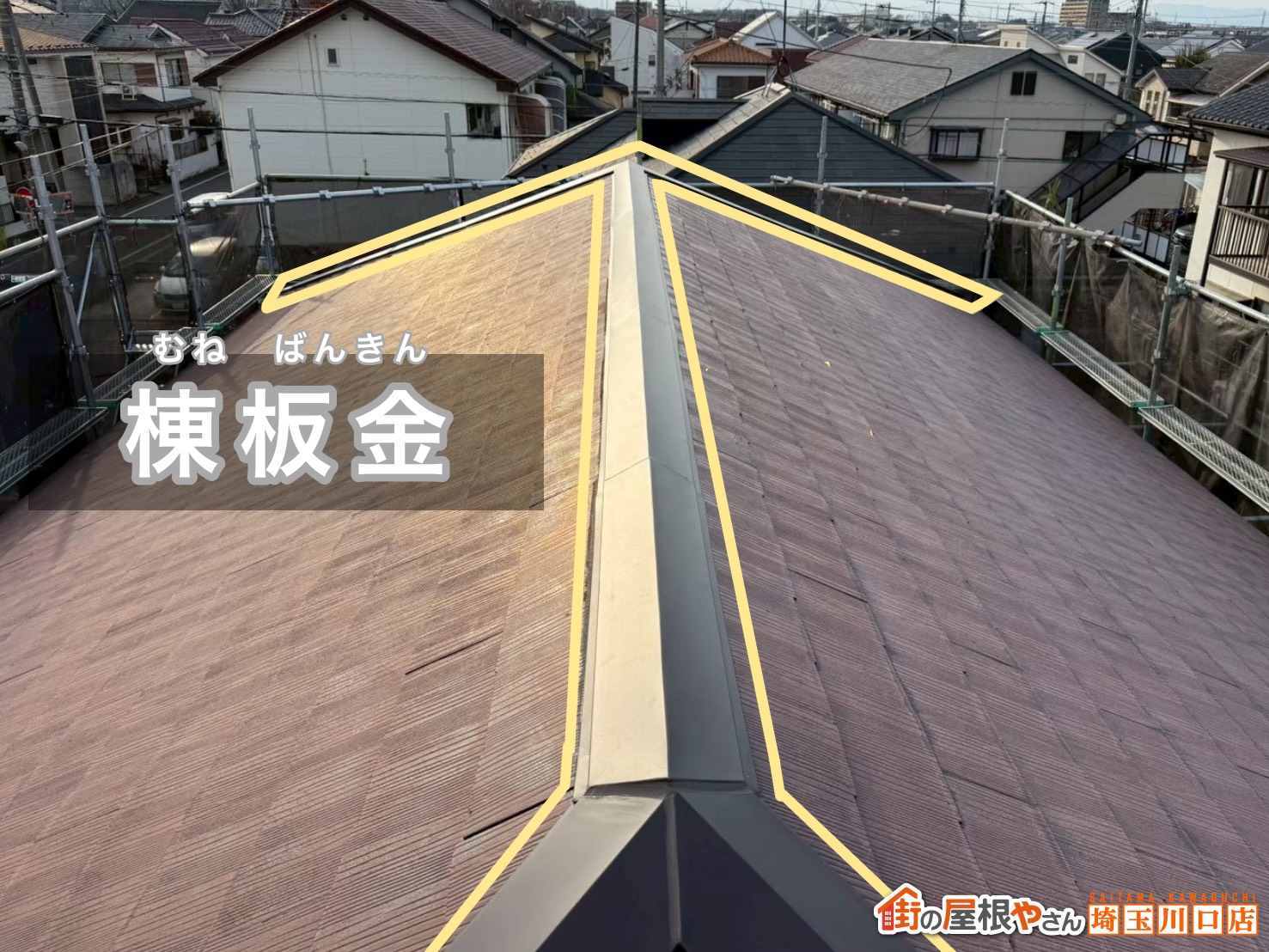 棟板金