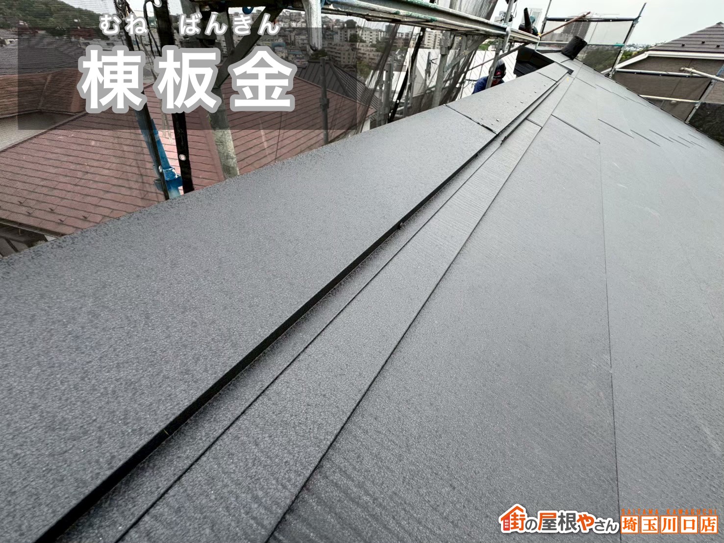 棟板金
