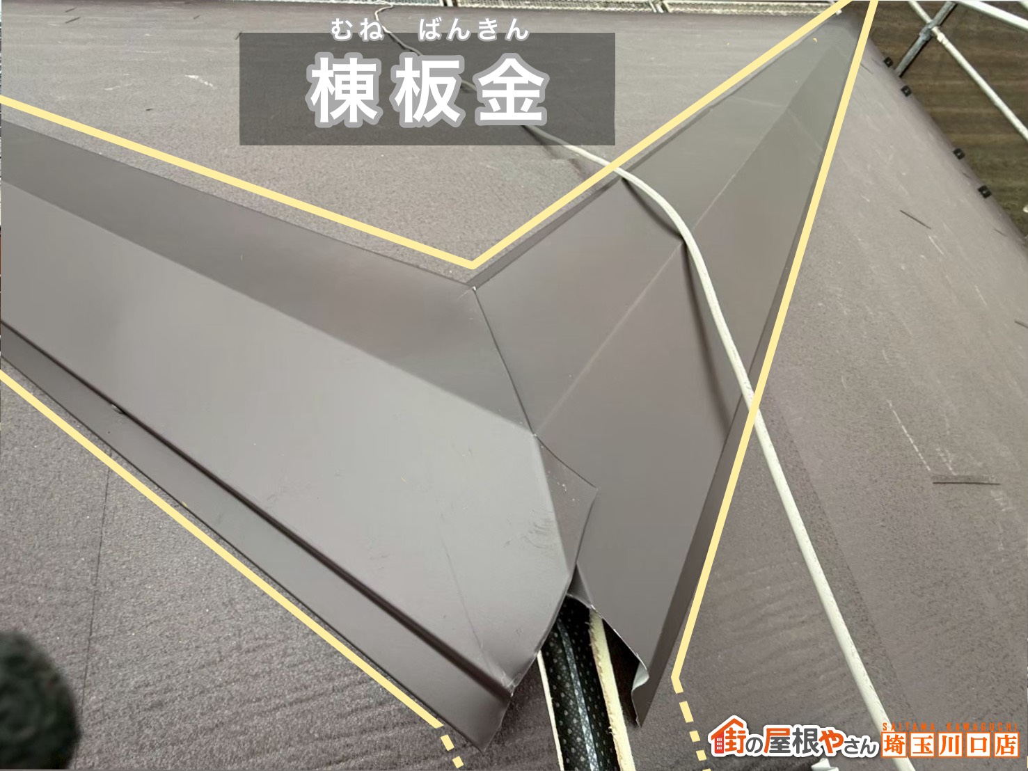 棟板金