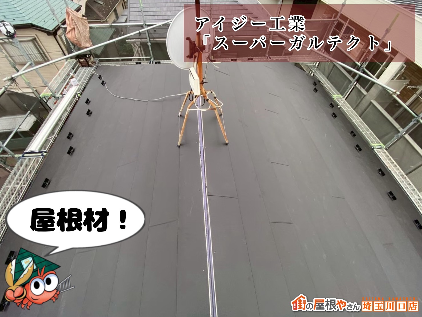 屋根材 アイジー工業|スーパーガルテクト