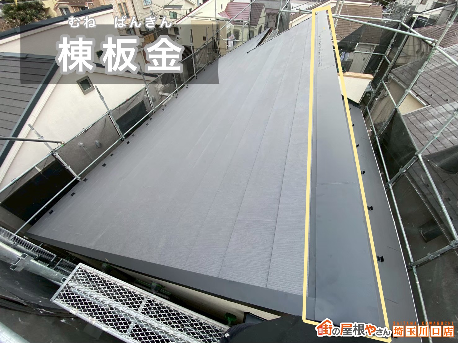 棟板金