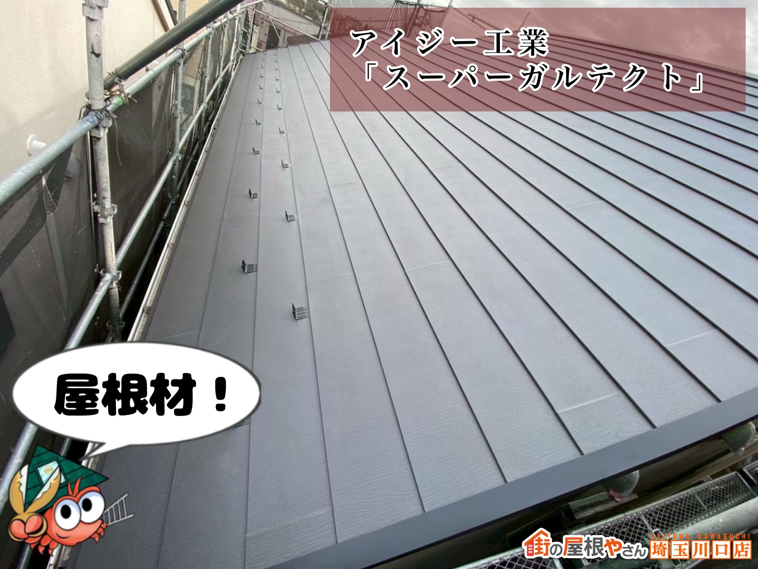 屋根材 アイジー工業|スーパーガルテクト