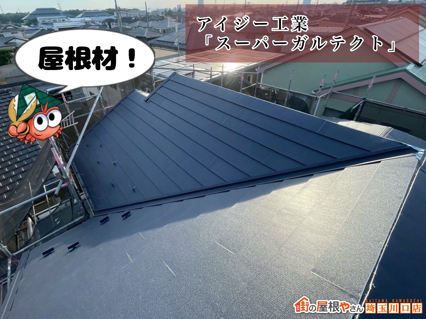 屋根材 アイジー工業|スーパーガルテクト