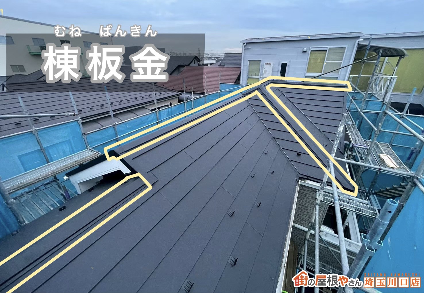 棟板金