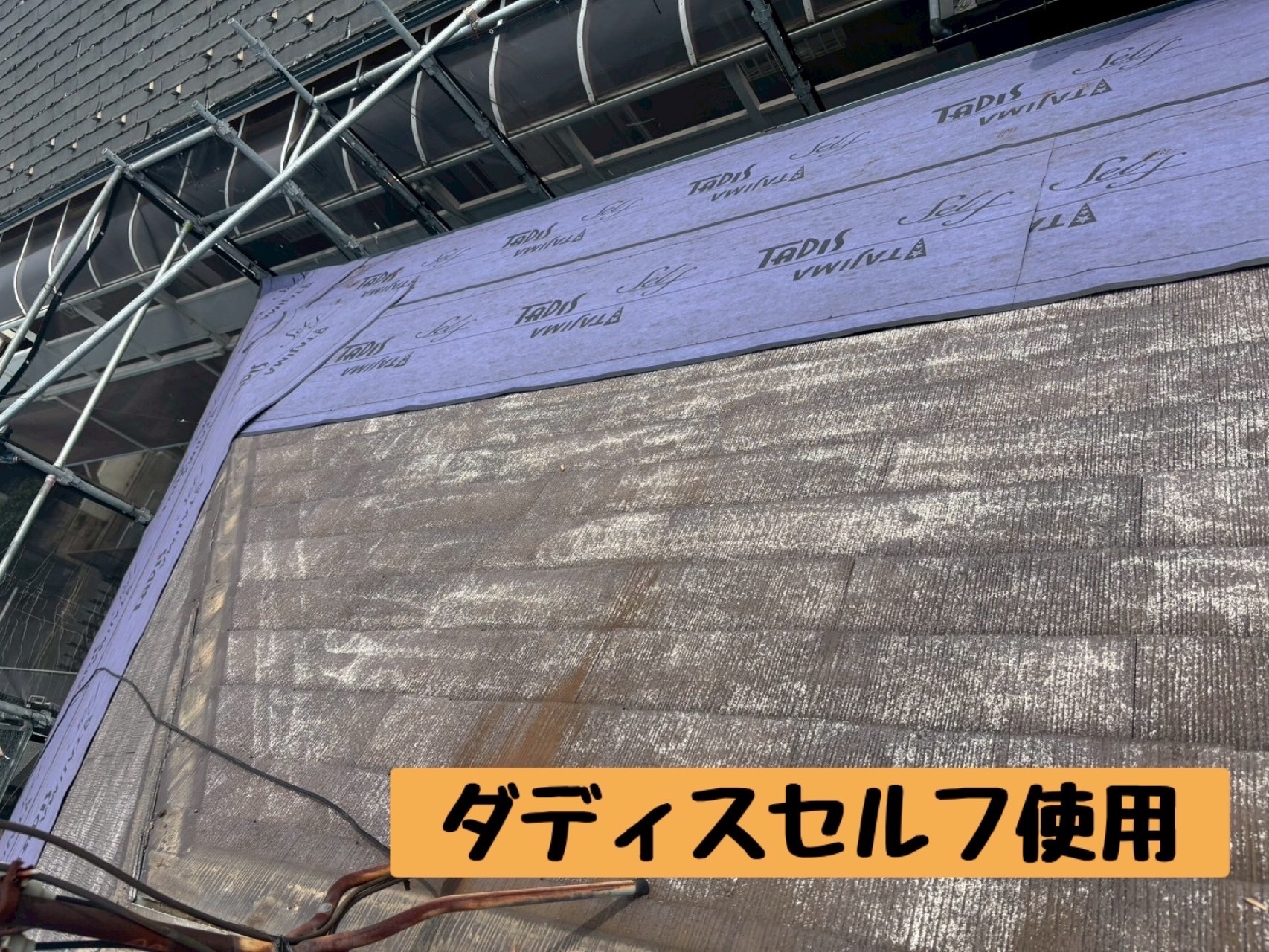 タディスセルフ