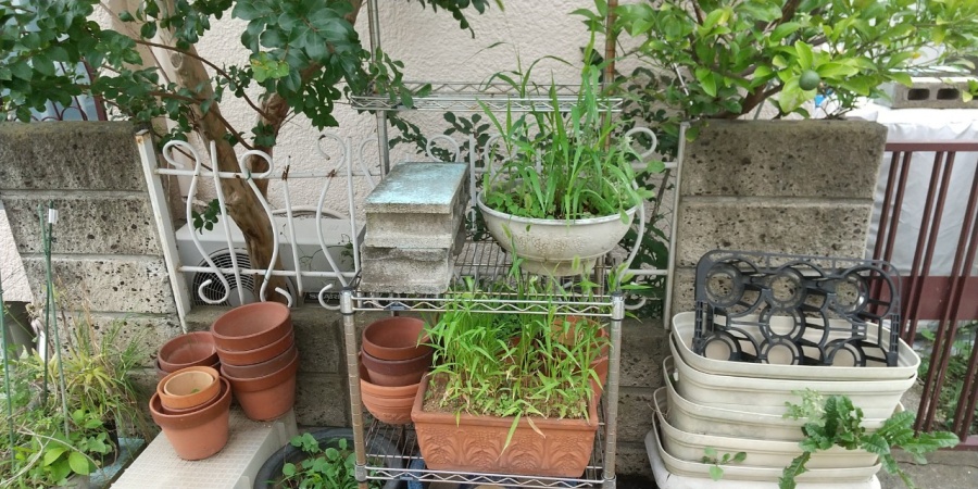 外構フェンス、台風被害、火災保険