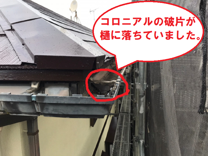 軒樋の中に落ちたコロニアル