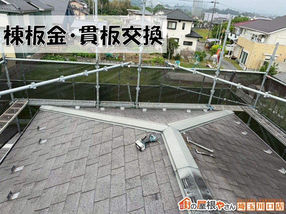 棟板金