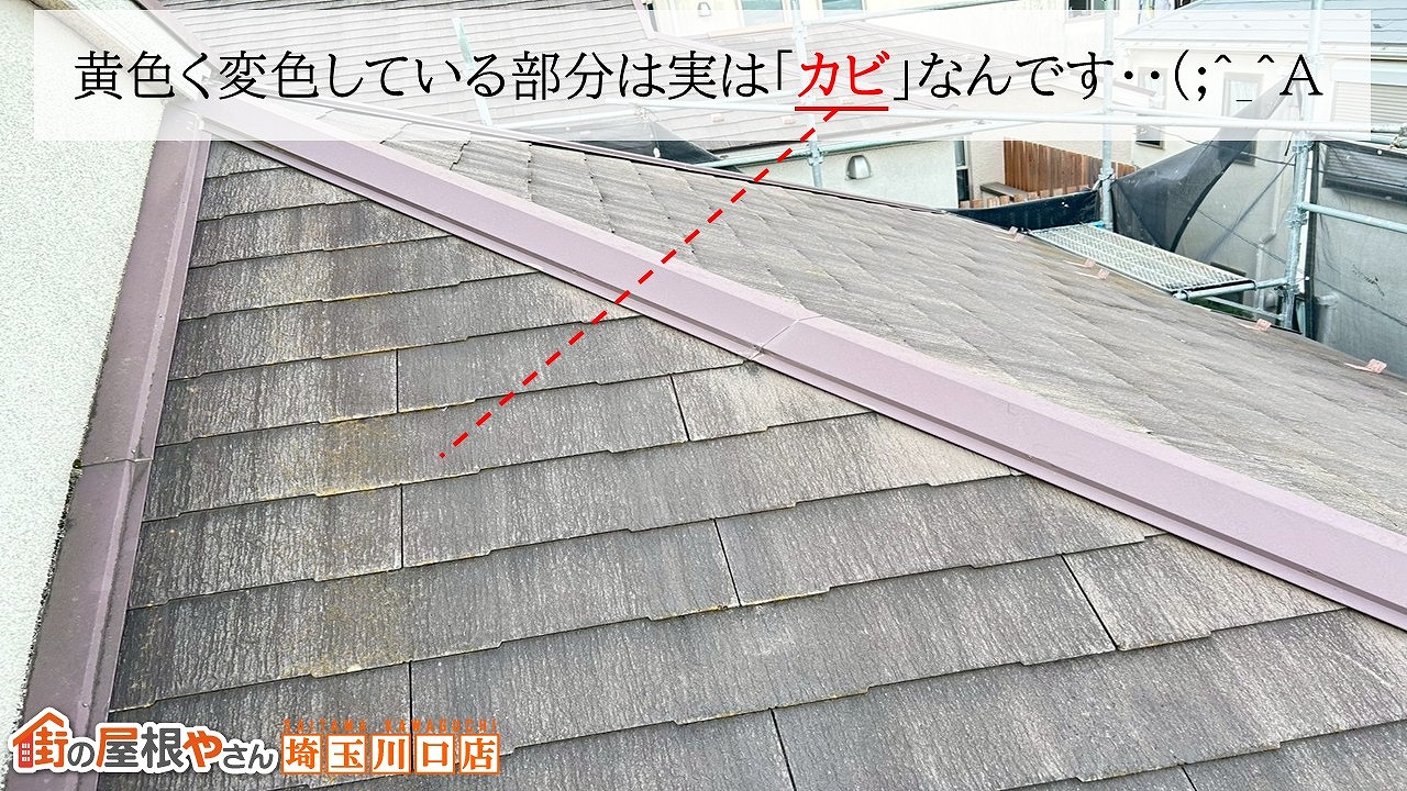 黄カビ　スレート屋根