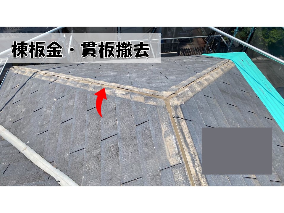 棟