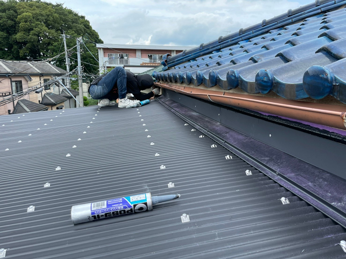 緩勾配のナマコ