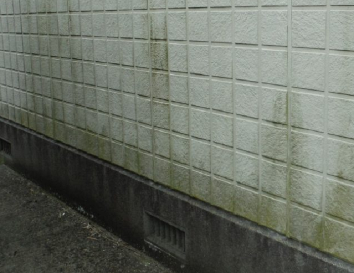 雨樋の不具合による基礎周りのコケ