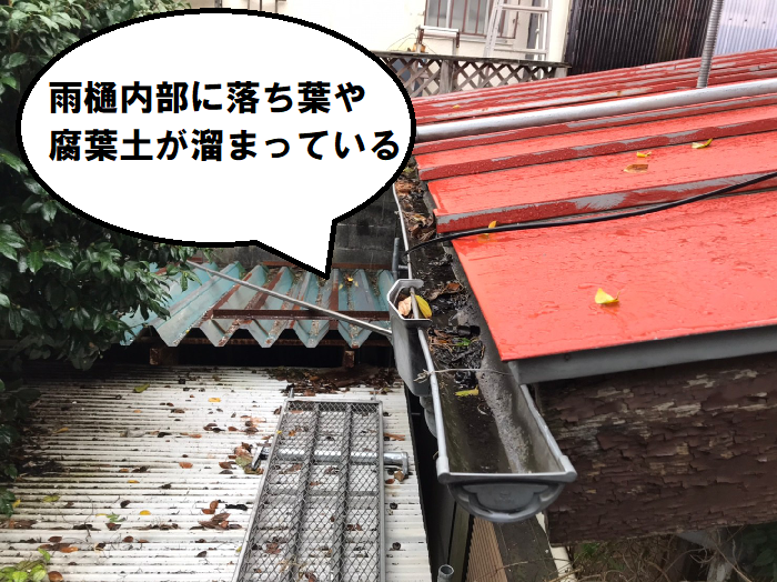 雨樋がつまり排水できない様子
