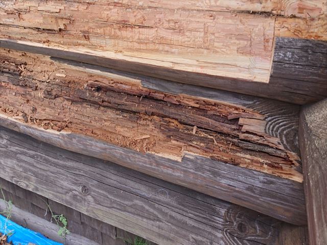 長野県飯島町ログハウス丸太外壁修繕11