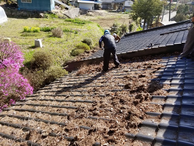 屋根上の枯葉の掃除です①