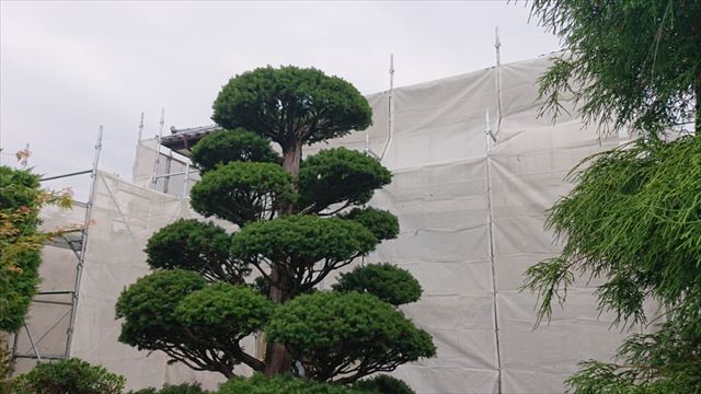 長野県駒ヶ根市モルタル外壁塗装足場作業2