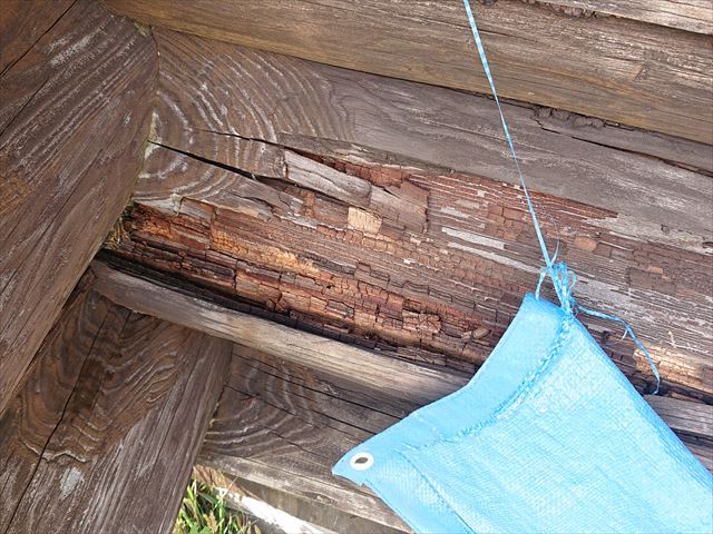 長野県飯島町ログハウス丸太外壁修繕5