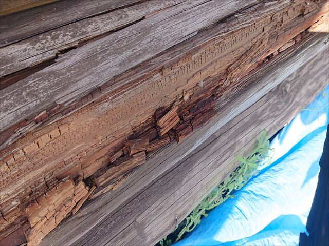 長野県飯島町ログハウス丸太外壁修繕2