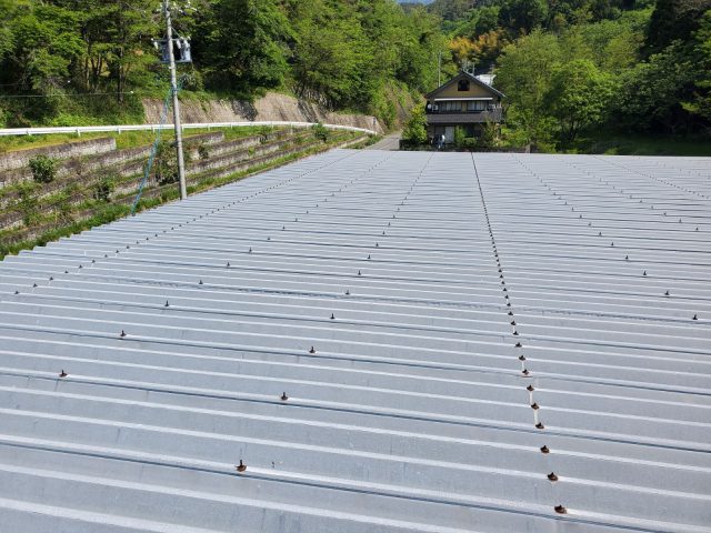 折板屋根_現調4