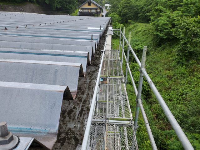 折板屋根_雨樋1