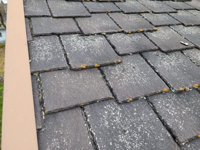 飯田市HH様屋根_汚れ1