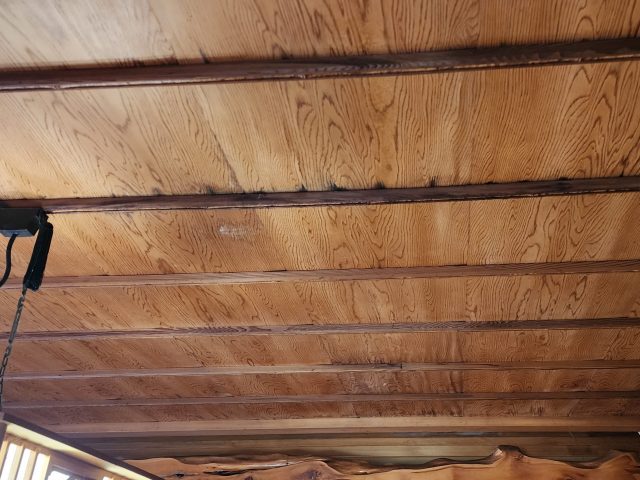 伊那市G邸_雨漏り調査-天井1