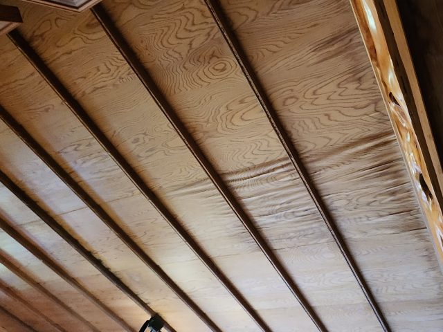 伊那市G邸_雨漏り調査-天井3