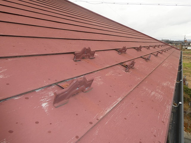 住宅無料点検で横葺きトタン屋根の塗膜剥がれを確認
