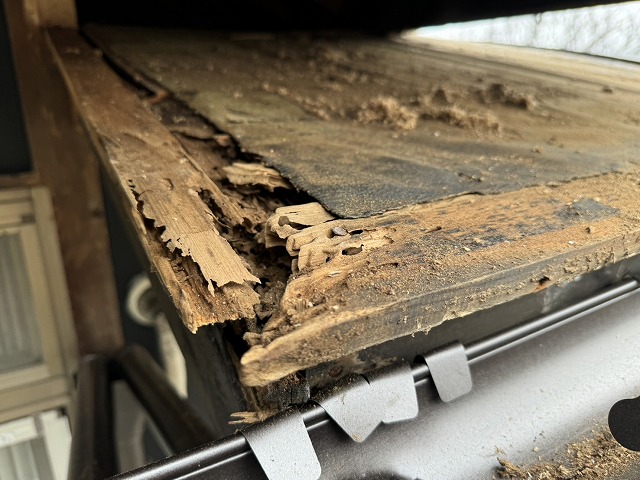 葺き替え工事を行う瓦棒葺き屋根