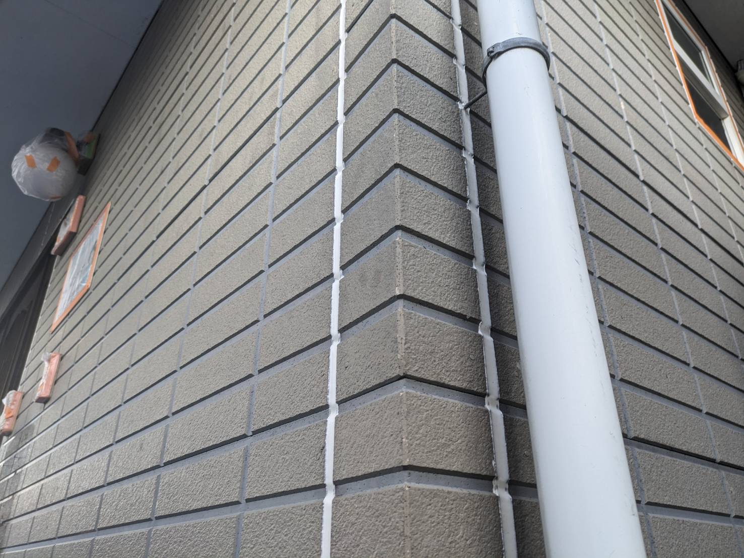 naganokenkomaganesiakaho-mtei-ko-kinngu8