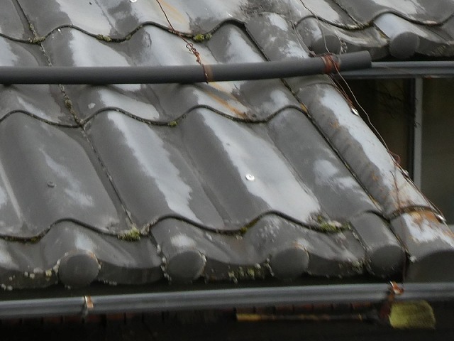屋根の無料点検でスレート瓦の苔の繁殖を確認