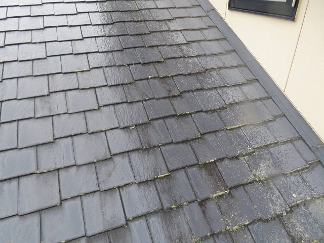 スレート表面に付着したコケと黒ずみ