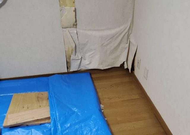 シロアリ_点検口1