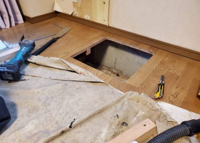 シロアリ_点検口2