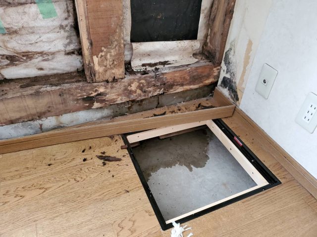 シロアリ_点検口3