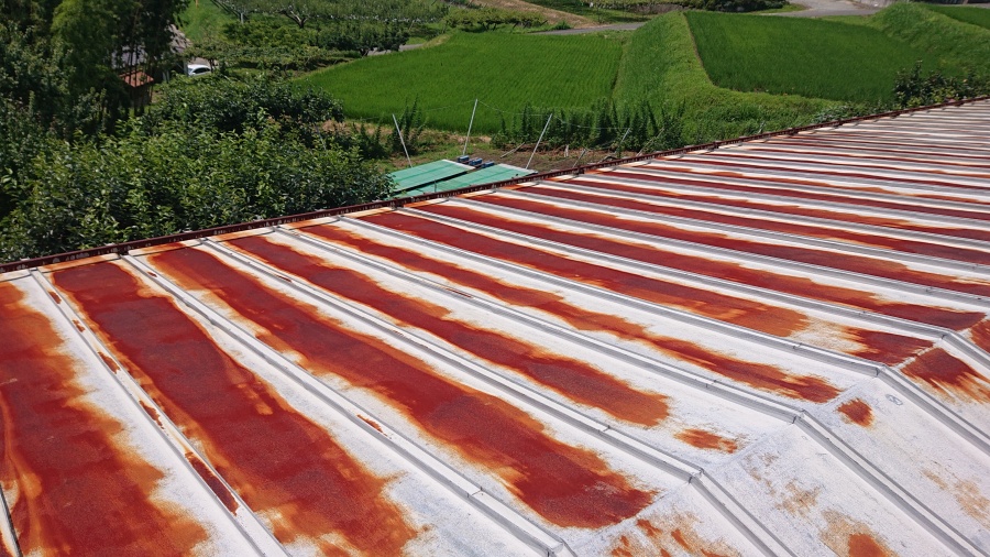 飯田市大瀬木柿ハウス現調2