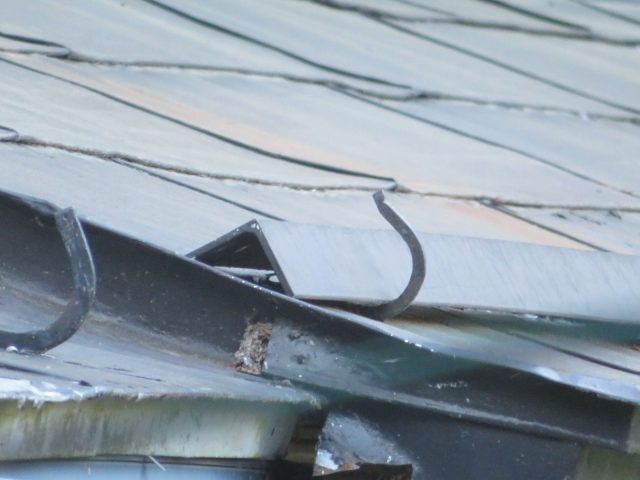 トタン屋根現調2