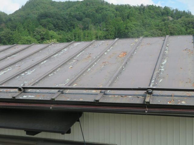 阿南_屋根塗装ｼﾘｺﾝ_現調5