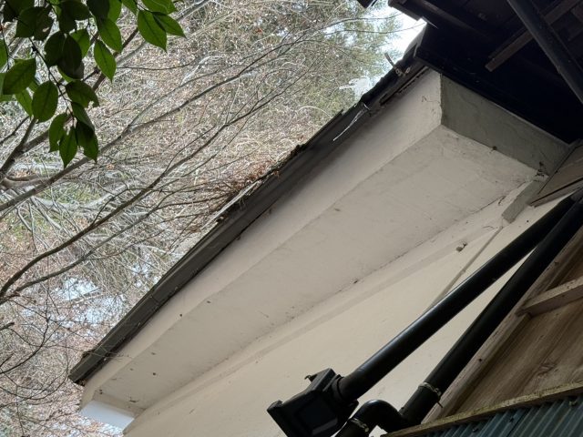 下條村S邸雨樋施工前